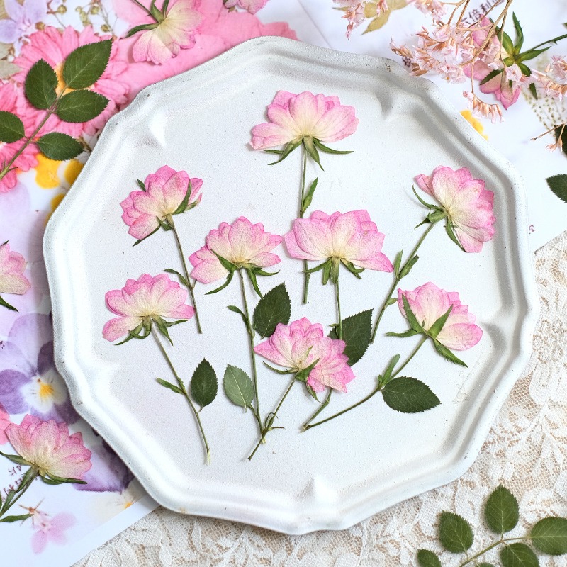12개, 휴대폰 케이스 DIY용 진짜 건조 압축 꽃,  - Resin Art Baby 리뷰 및 가격